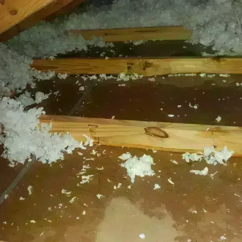 Attic Water Damage in Miles City, MT