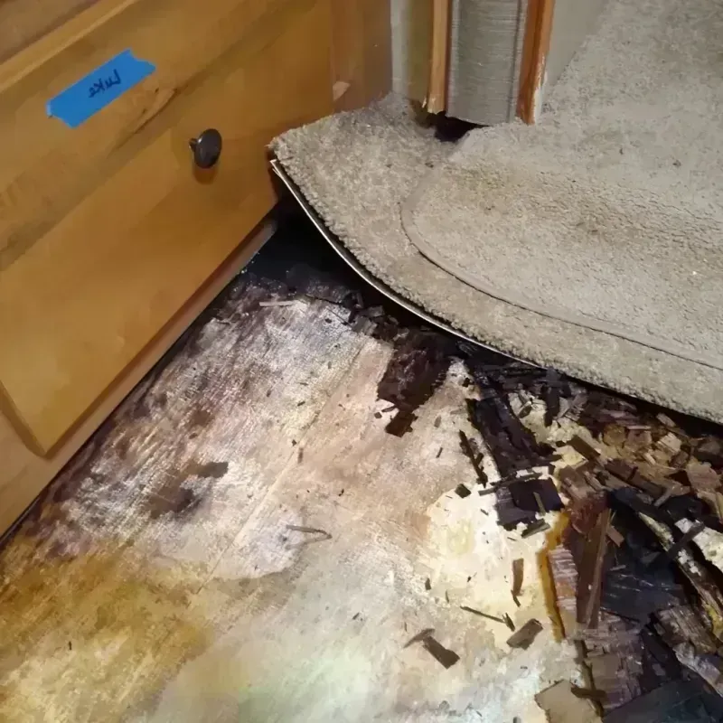 Best Wood Floor Water Damage Service in Miles City, MT